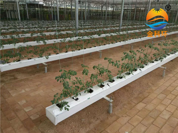 立体种植草莓栽培槽